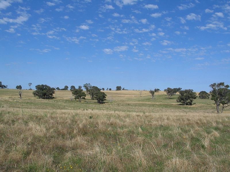 598 Bevandale Road, Wheeo, Goulburn NSW 2580