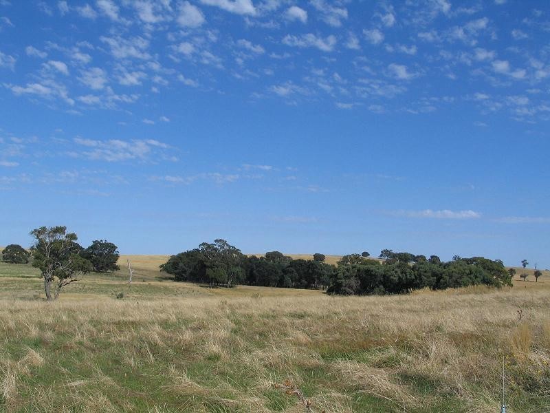 598 Bevandale Road, Wheeo, Goulburn NSW 2580