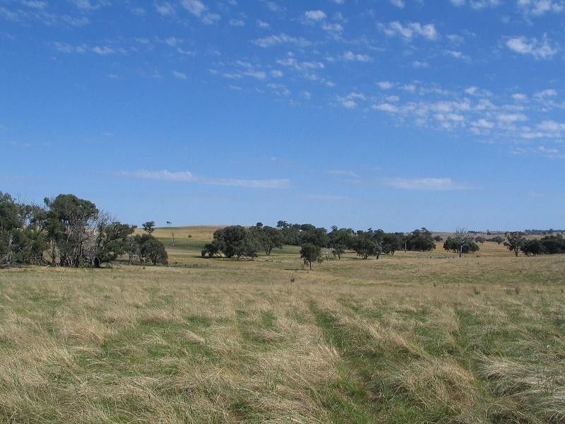 598 Bevandale Road, Wheeo, Goulburn NSW 2580