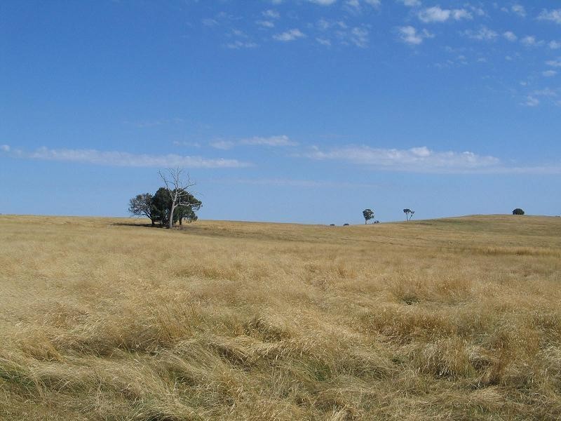 598 Bevandale Road, Wheeo, Goulburn NSW 2580