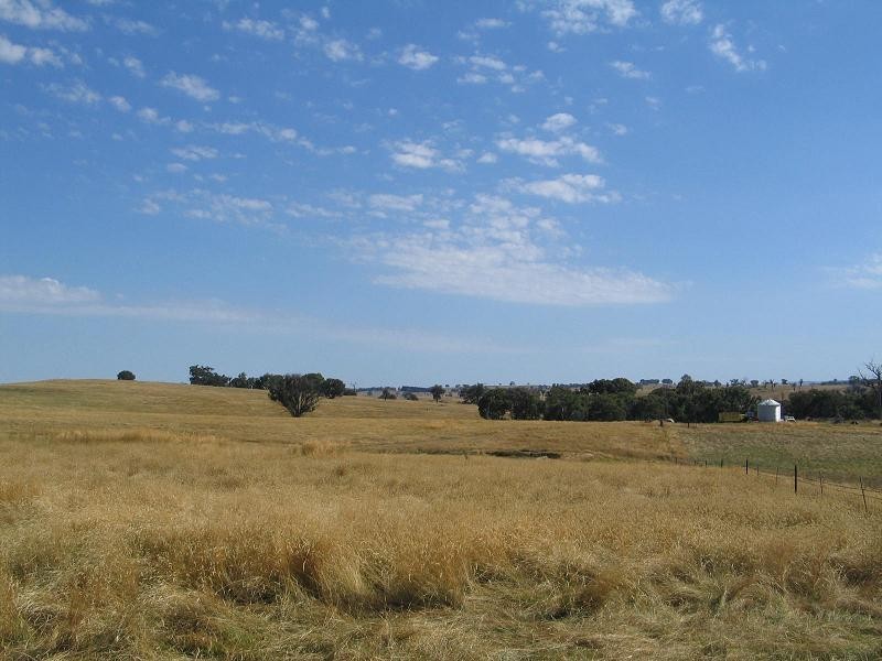 598 Bevandale Road, Wheeo, Goulburn NSW 2580