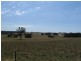 598 Bevandale Road, Wheeo, Goulburn NSW 2580