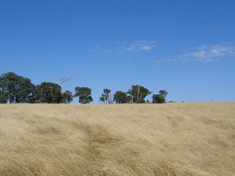 598 Bevandale Road, Wheeo, Goulburn NSW 2580