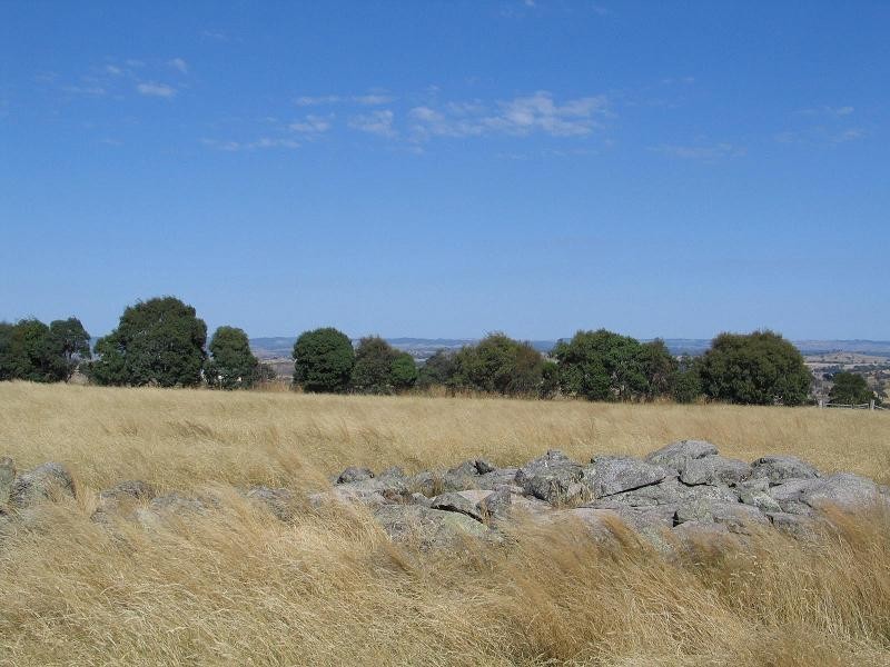 598 Bevandale Road, Wheeo, Goulburn NSW 2580