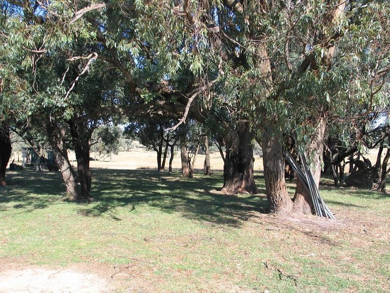 362 Sylvia Vale Road, Binda NSW 2583