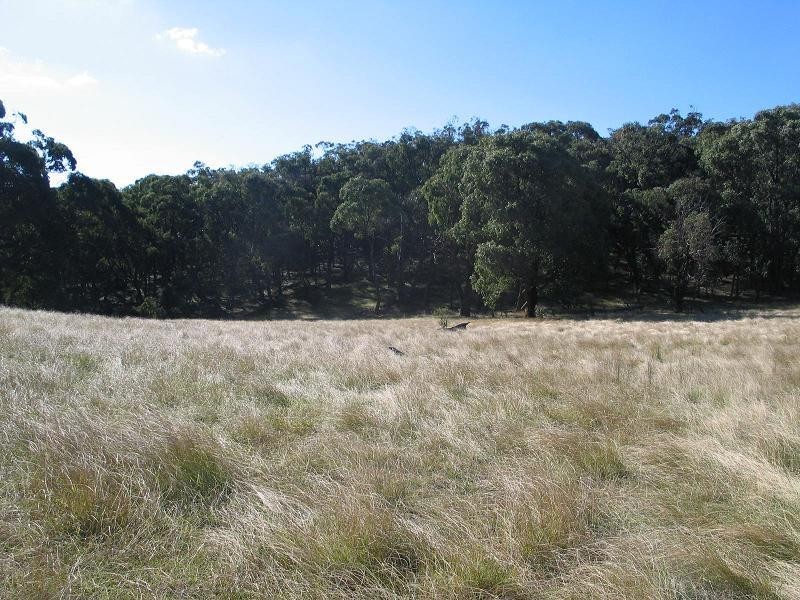 362 Sylvia Vale Road, Binda NSW 2583