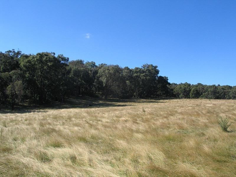 362 Sylvia Vale Road, Binda NSW 2583