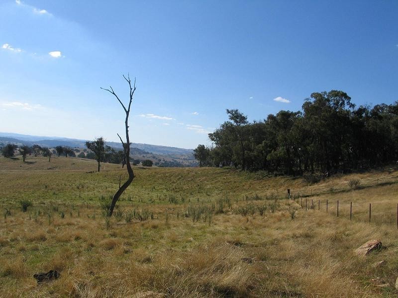 362 Sylvia Vale Road, Binda NSW 2583