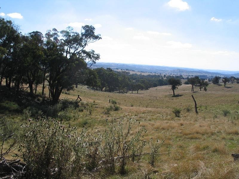 362 Sylvia Vale Road, Binda NSW 2583