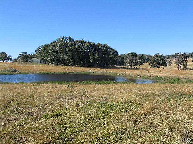 362 Sylvia Vale Road, Binda NSW 2583