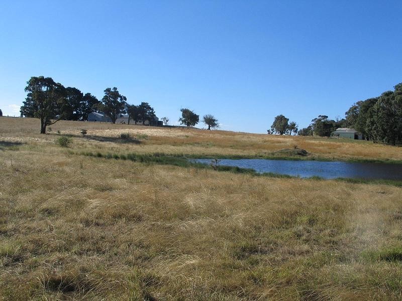 362 Sylvia Vale Road, Binda NSW 2583