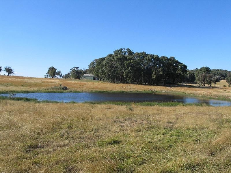 362 Sylvia Vale Road, Binda NSW 2583