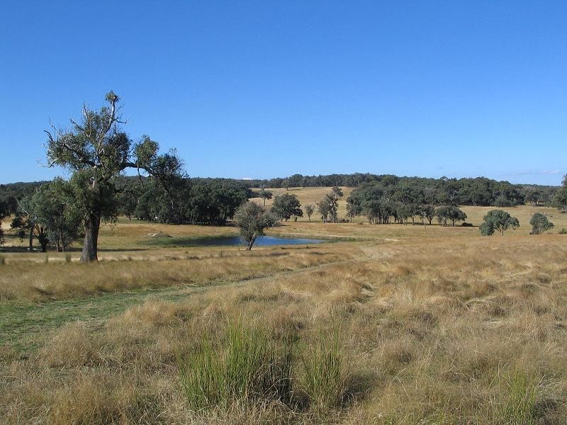 362 Sylvia Vale Road, Binda NSW 2583