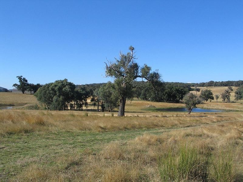 362 Sylvia Vale Road, Binda NSW 2583