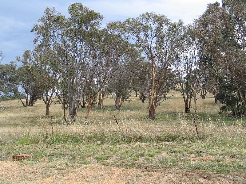 48 Progress Street, Goulburn NSW 2580