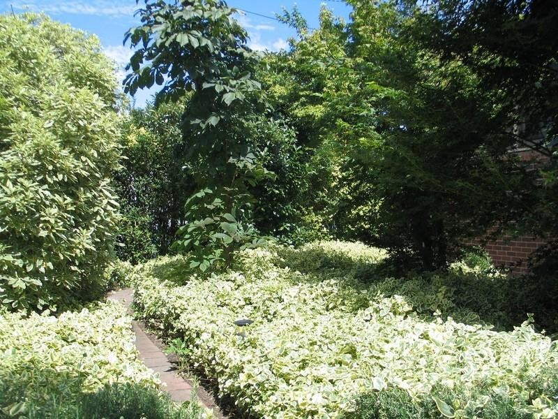 84 Bourke Street, Goulburn NSW 2580