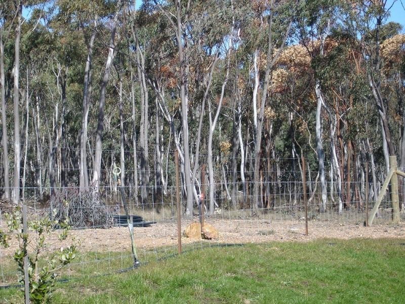 240 Tiyces Lane, Goulburn NSW 2580