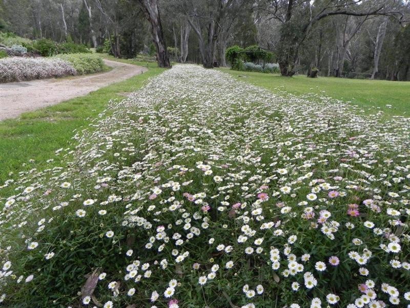 ‘Avelene” Yewrangara Road, Bigga NSW 2583