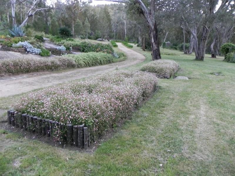 ‘Avelene” Yewrangara Road, Bigga NSW 2583