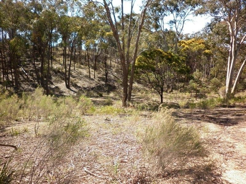 85 MCLELLANDS Road, Goulburn NSW 2580