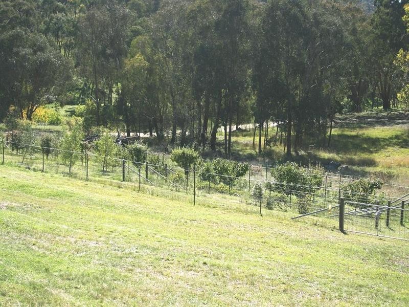 881 Mulgowrie Road, Crooked Corner NSW 2583