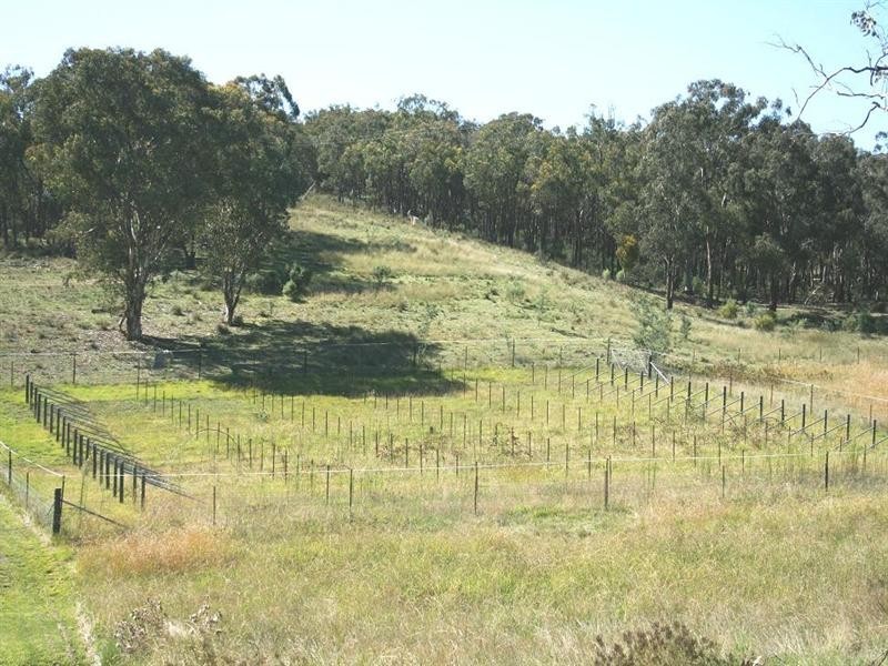 881 Mulgowrie Road, Crooked Corner NSW 2583