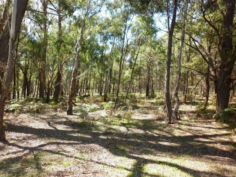 266 Pontilla Lane, Goulburn NSW 2580