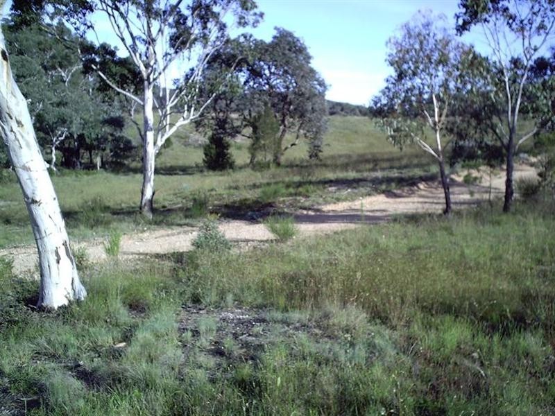 1279 Mountain Ash Road, Goulburn NSW 2580