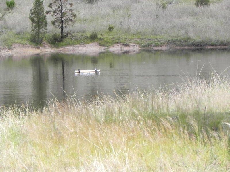 “Avelene” Yewrangara Road, Bigga NSW 2583