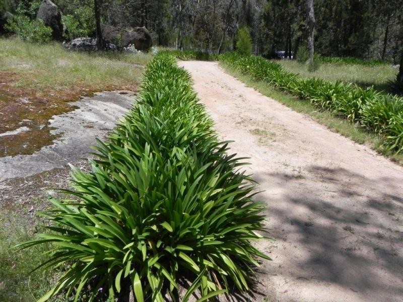 “Avelene” Yewrangara Road, Bigga NSW 2583