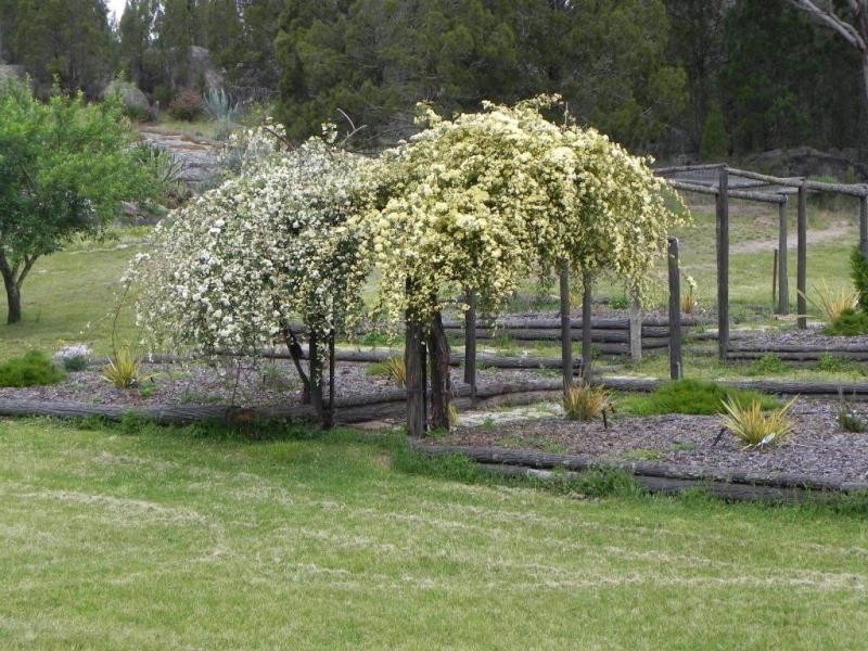 “Avelene” Yewrangara Road, Bigga NSW 2583