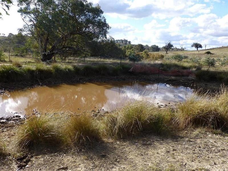 249 Beragoon Lane, Taylors Flat NSW 2586