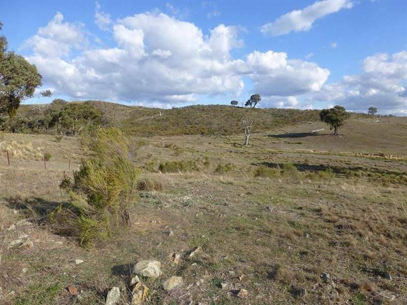 249 Beragoon Lane, Taylors Flat NSW 2586