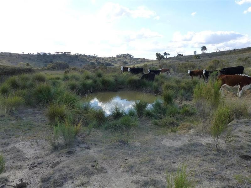 249 Beragoon Lane, Taylors Flat NSW 2586