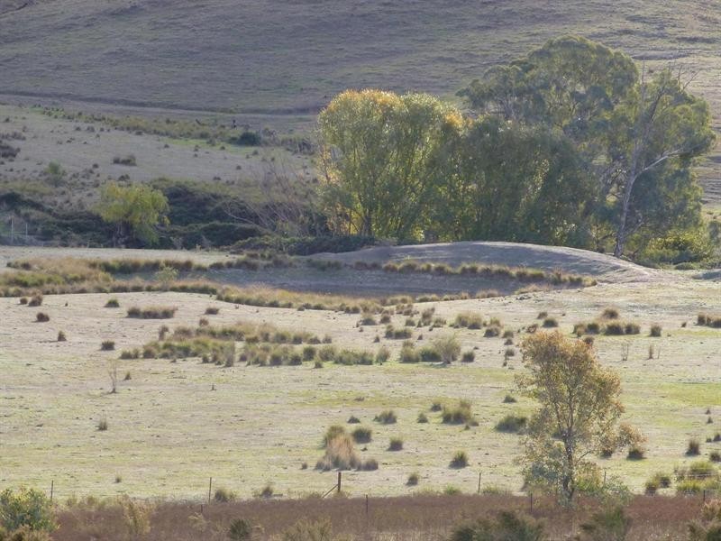 249 Beragoon Lane, Taylors Flat NSW 2586