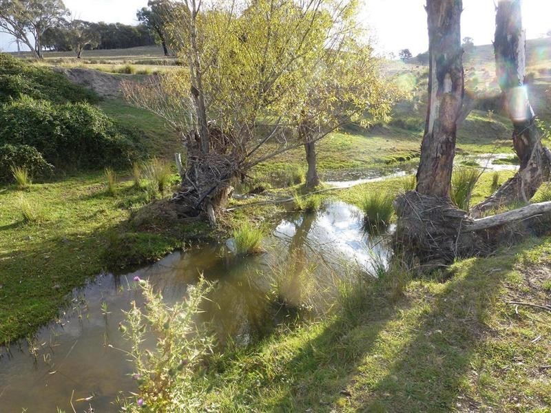 249 Beragoon Lane, Taylors Flat NSW 2586