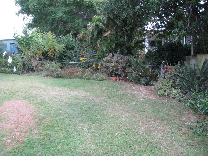 31 Harrowby Street, Corinda QLD 4075