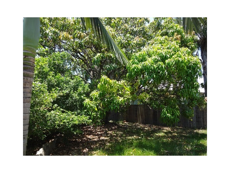 158 Venner Road, Fairfield QLD 4103