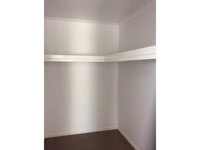 11 Pamphlett Street, Oxley QLD 4075