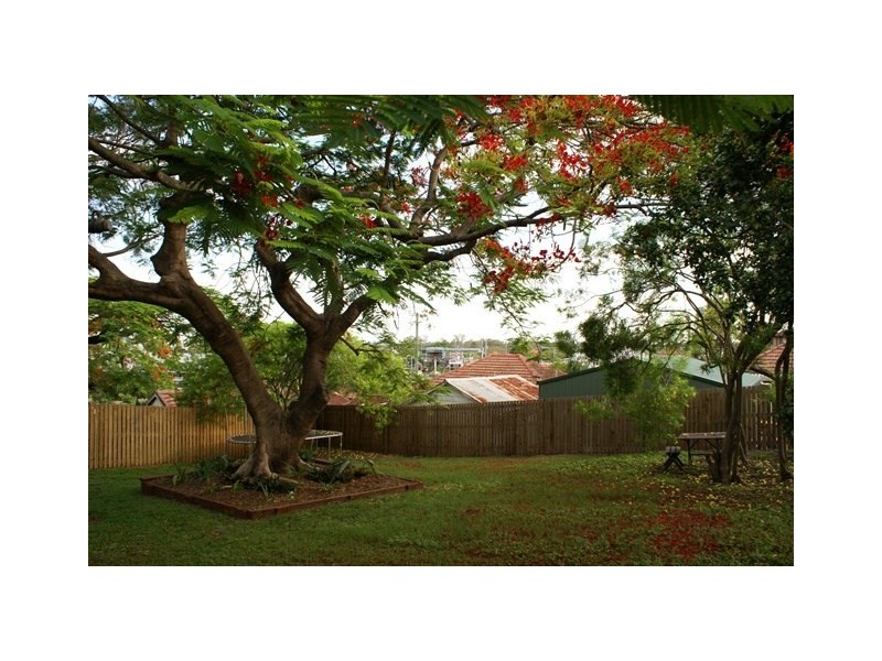 12 Annand Street, Oxley QLD 4075