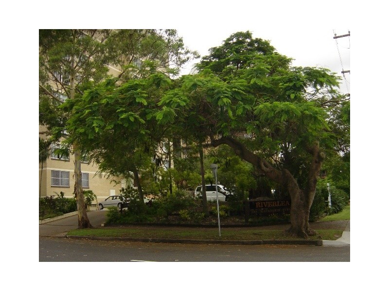 122 Macquarie Street, St Lucia QLD 4067