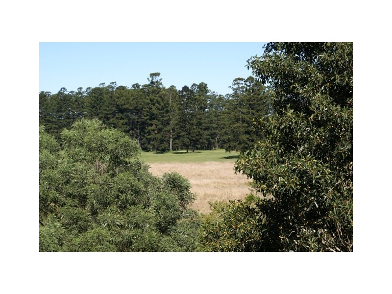 17 Thalia Court, Corinda QLD 4075