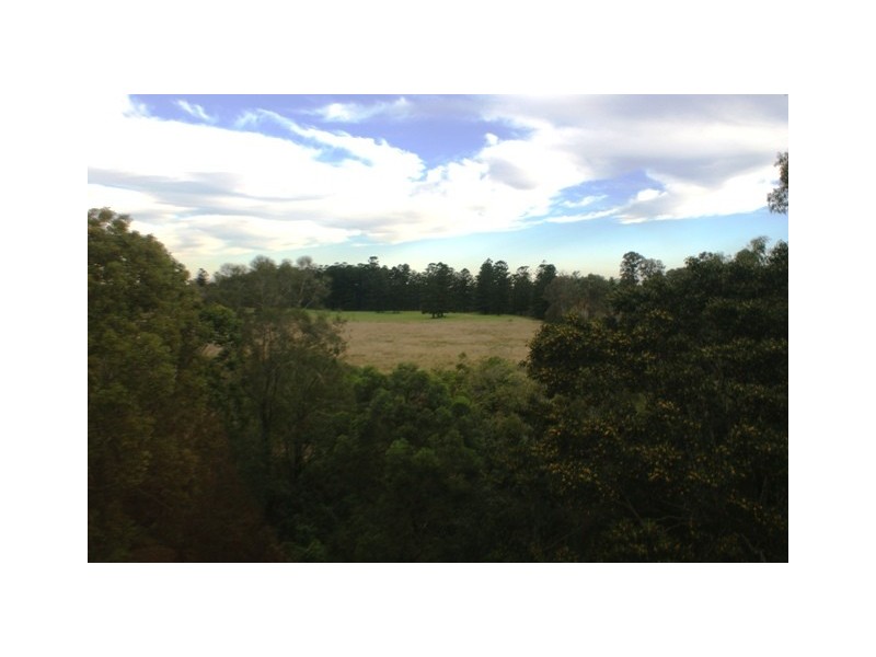 17 Thalia Court, Corinda QLD 4075