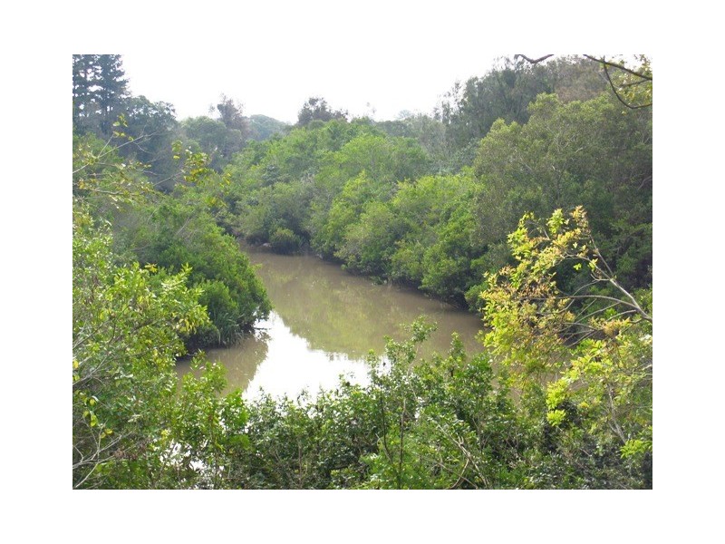 50 Rinora Street, Corinda QLD 4075