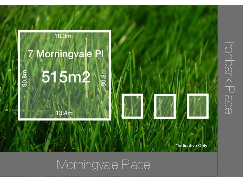 7 Morningvale Place, Mitchelton QLD 4053