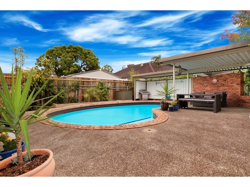 117 Park Terrace, Sherwood QLD 4075