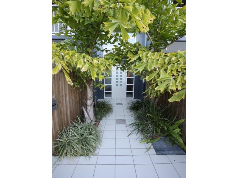 9/97 Primrose Street, Sherwood QLD 4075