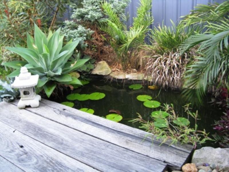 Golden Beach QLD 4551