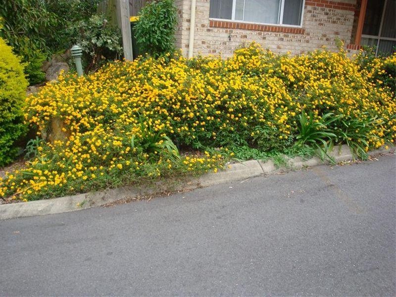 18/12 Edmondson Street, Corinda QLD 4075