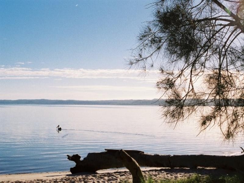 20 Orchid Avenue, Tinnanbar QLD 4650